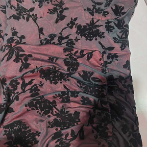 Photo amateur