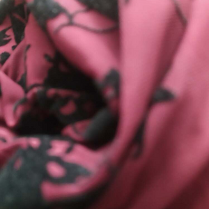 Photo amateur