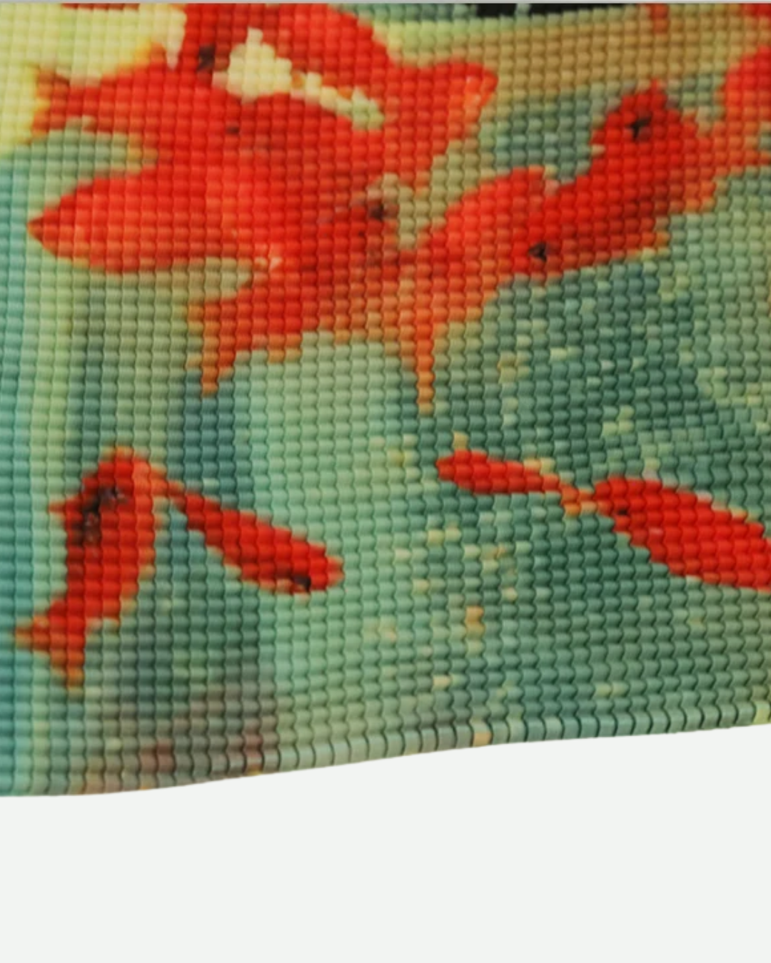 Koi Fish Top