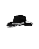 Chapeau de cow-boy scintillant