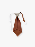 Orange cat Tie