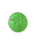 Bob grenouille