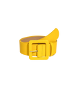 Buckle Design Belt