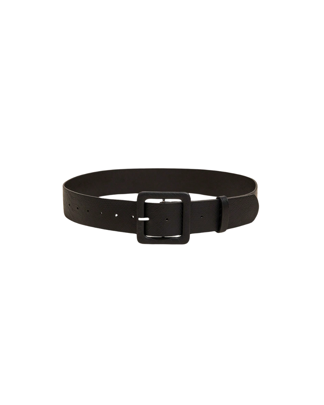 Buckle Design Belt