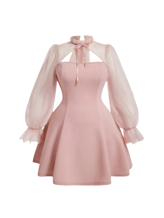 Mesh & Lace-Up Dress