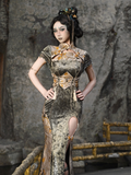 Qipao Dress