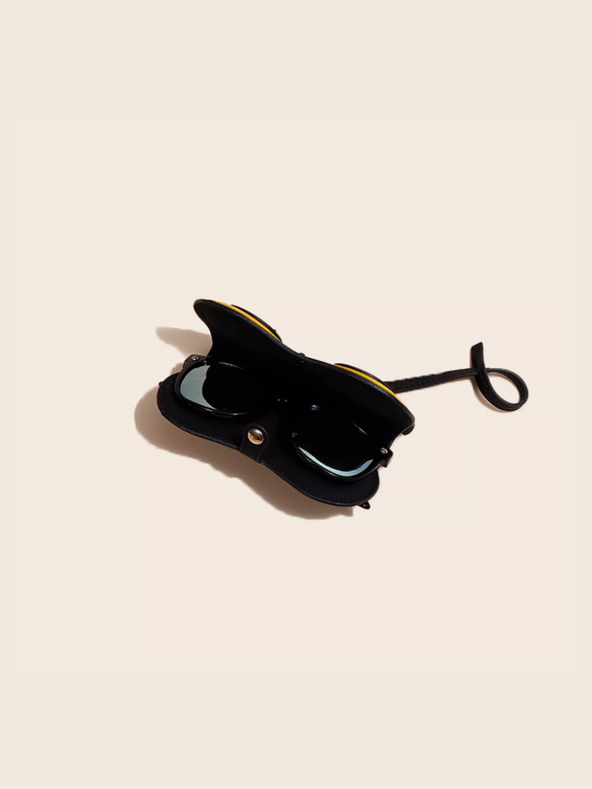 Owl Glasses Case